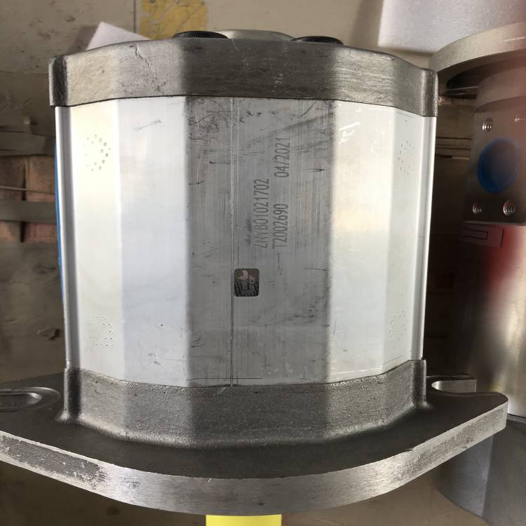 ZNYB01021702意大利SETTIMA靜音泵 指南潤(rùn)滑磨機(jī)潤(rùn)滑油站高壓螺桿泵